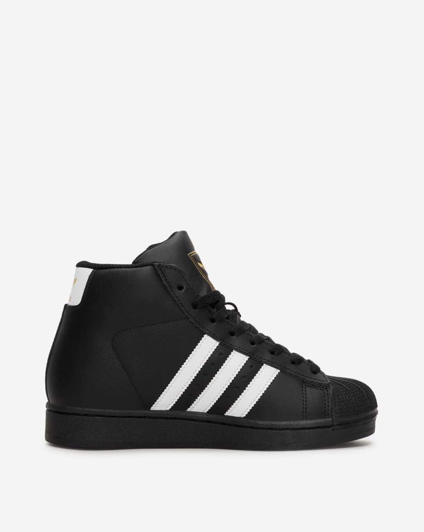 Grade School Pro Model
