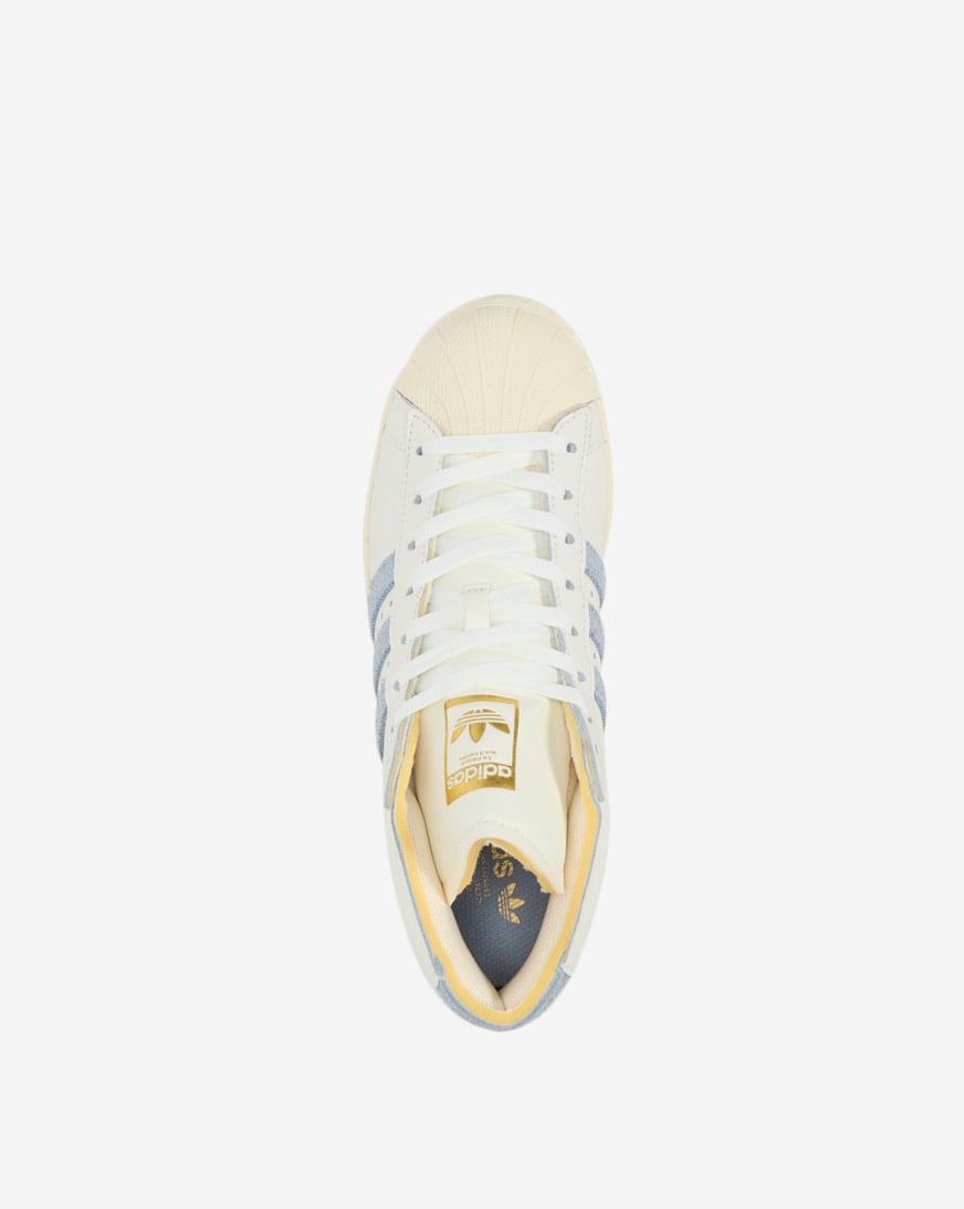Pro Model