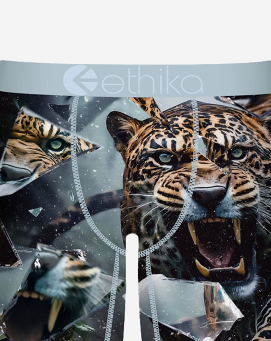 Grade School Shatter Cat Briefs