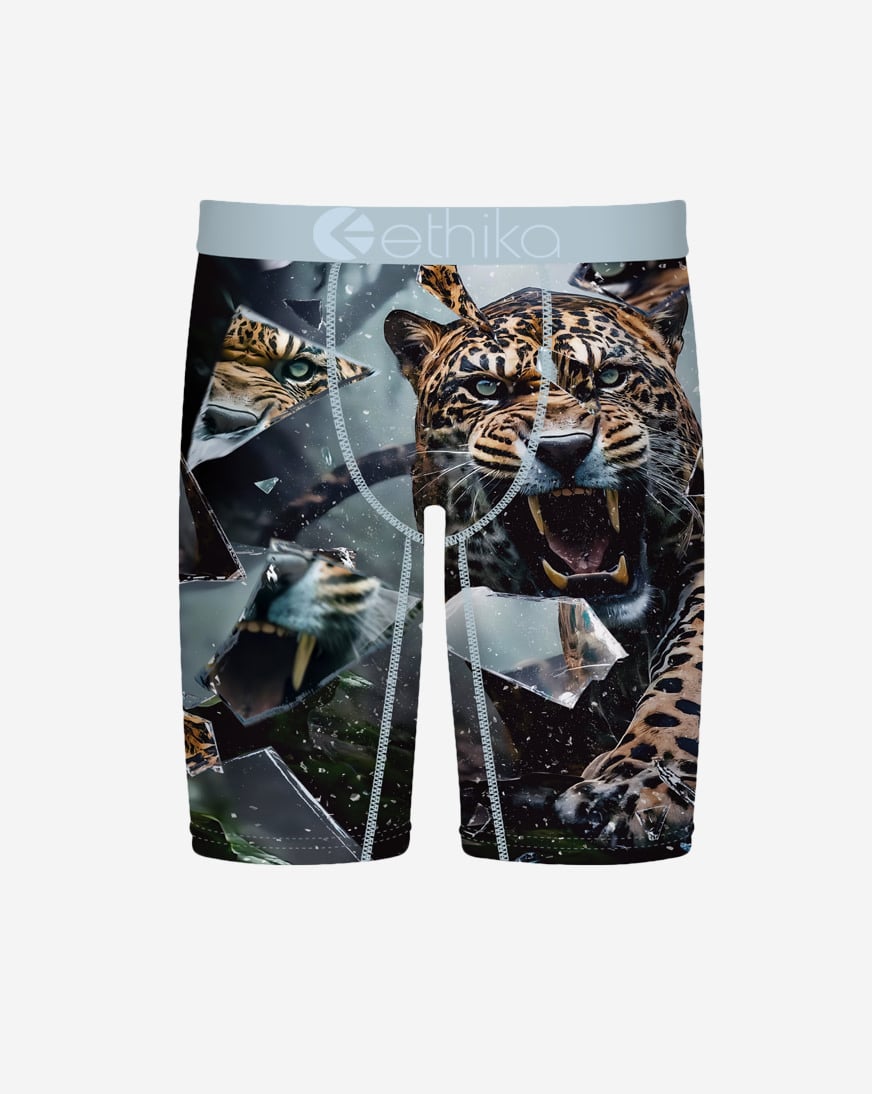 Shatter Cat Briefs