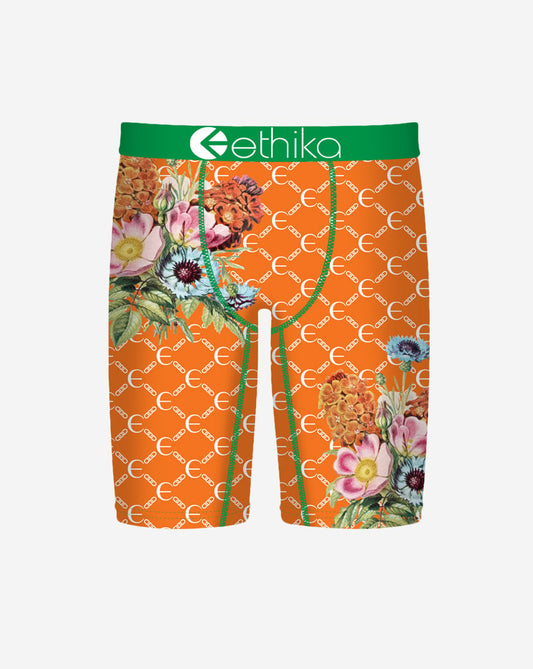 Botaness Briefs