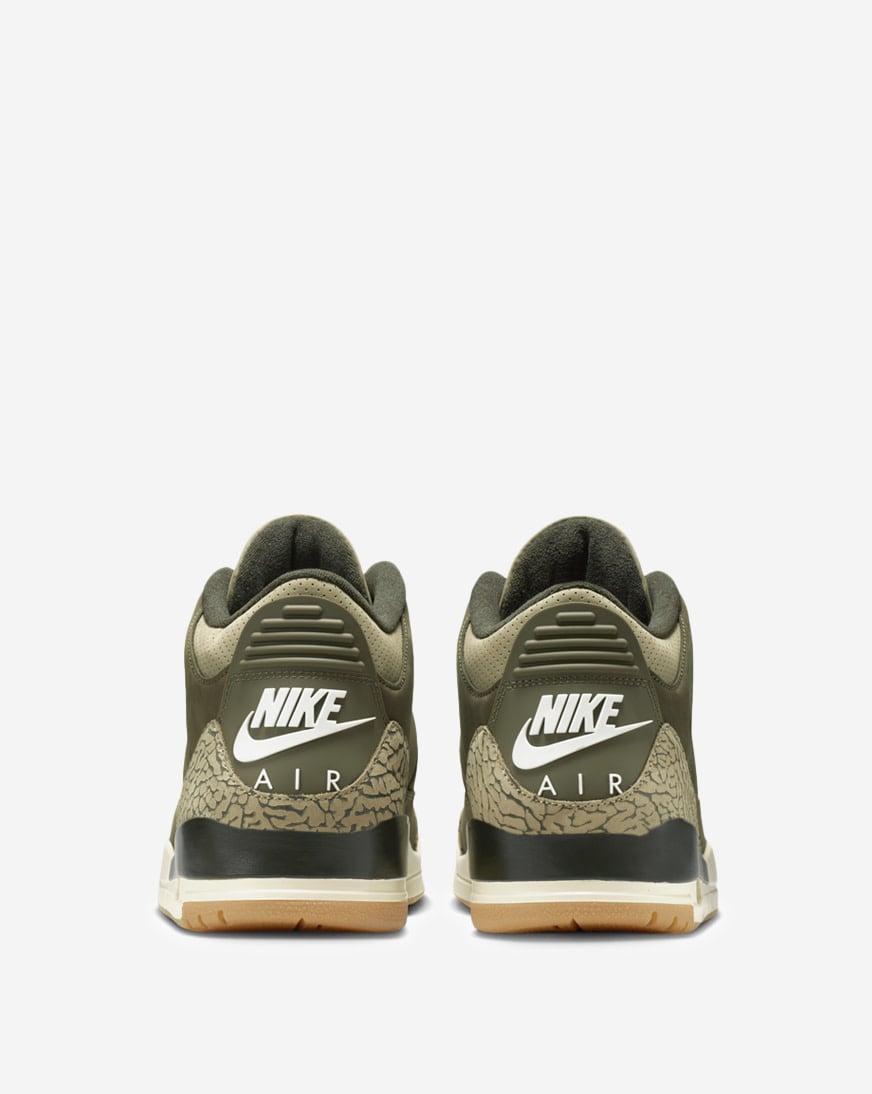 Air Jordan 3 Retro