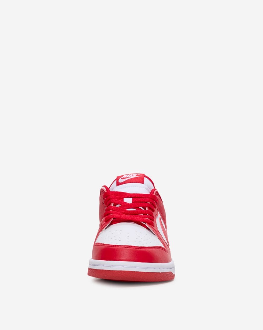 Dunk Low Next Nature