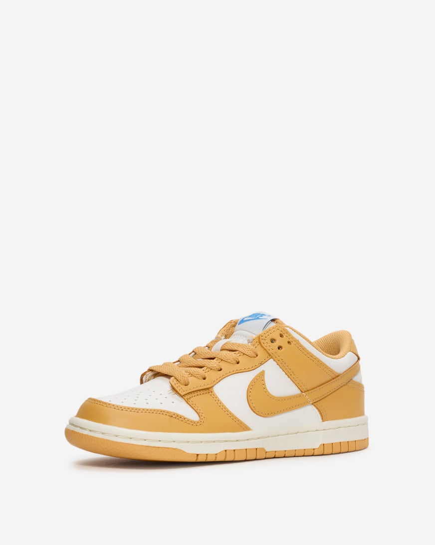 Big Kids' Dunk Low