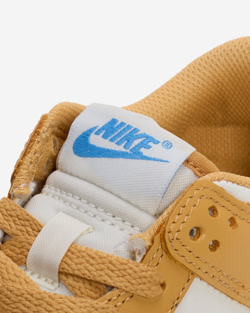 Big Kids' Dunk Low