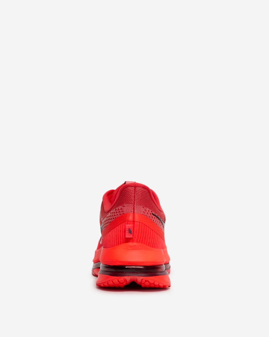 Pegasus Premium
