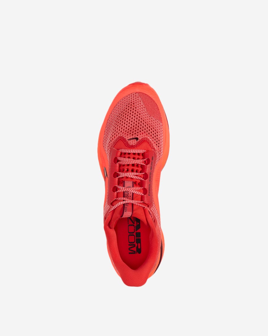 Pegasus Premium