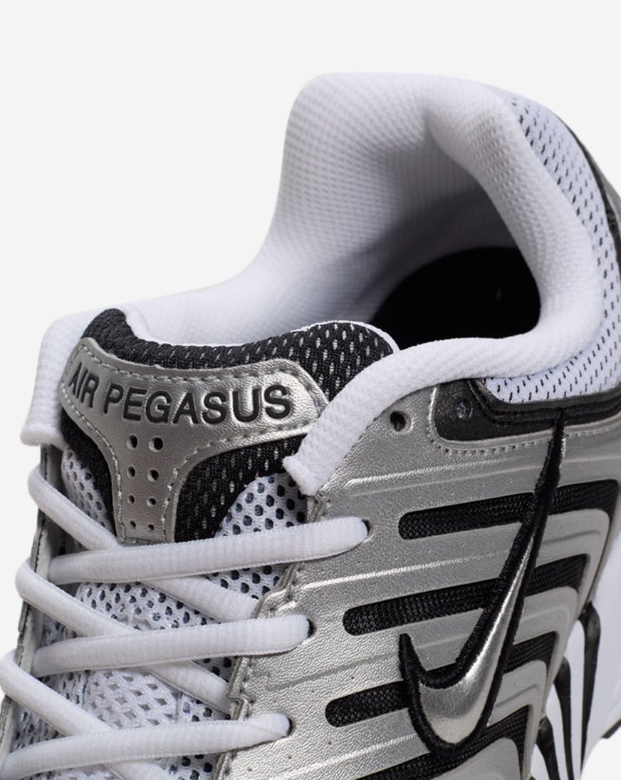 Air Pegasus 2005