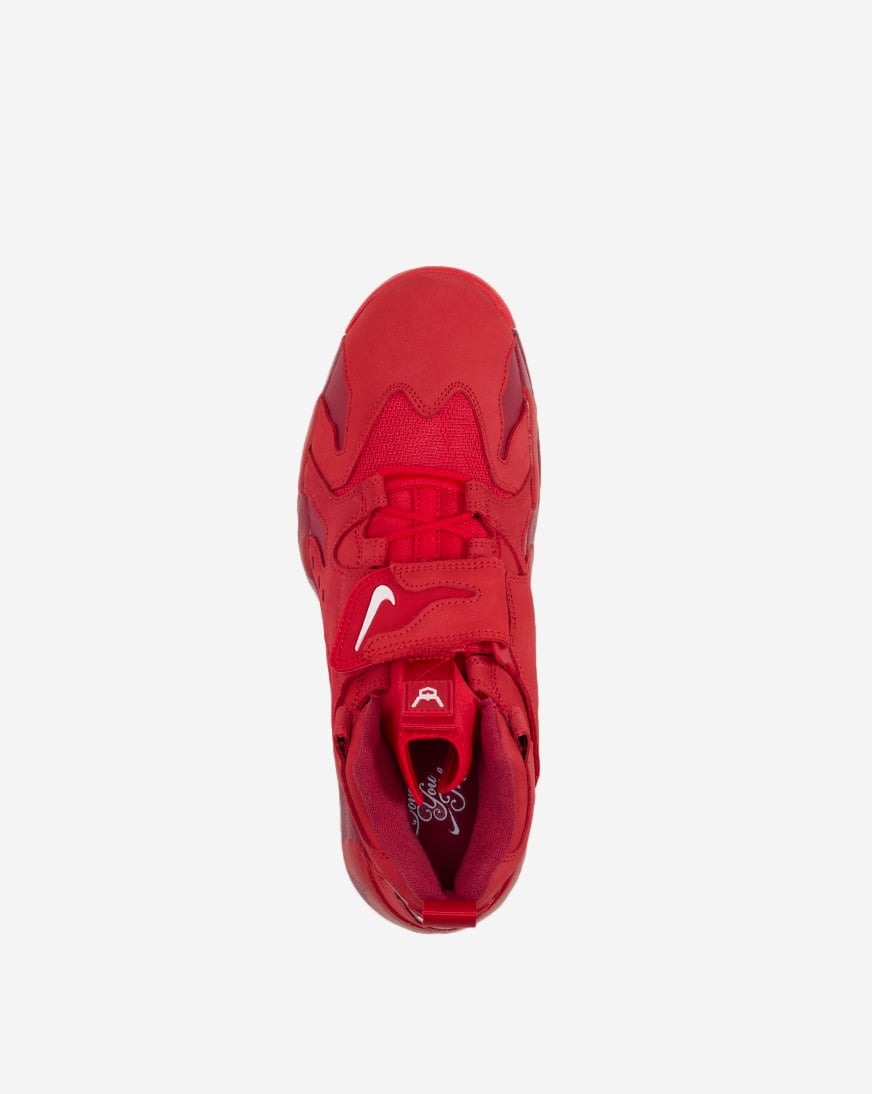 Air DT Max '96