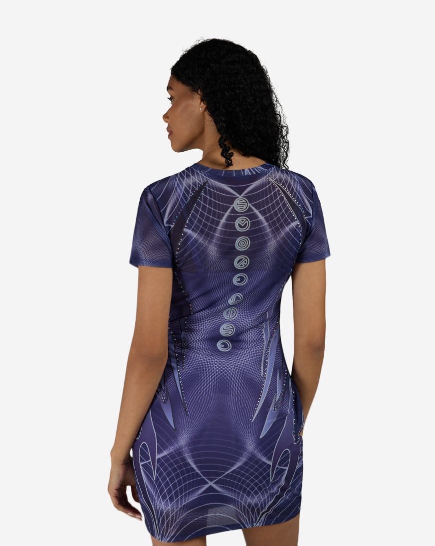 Printed Mesh Bodycon Dress