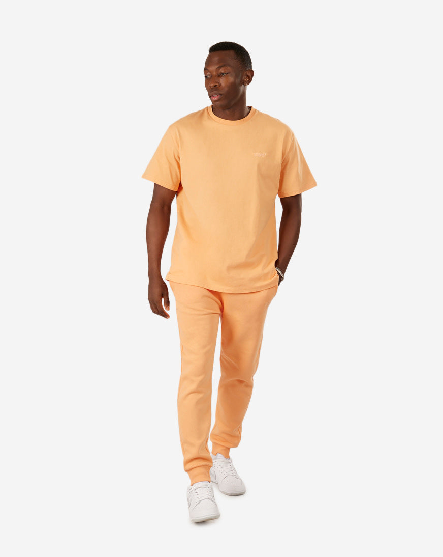 Small Logo Essential Tee