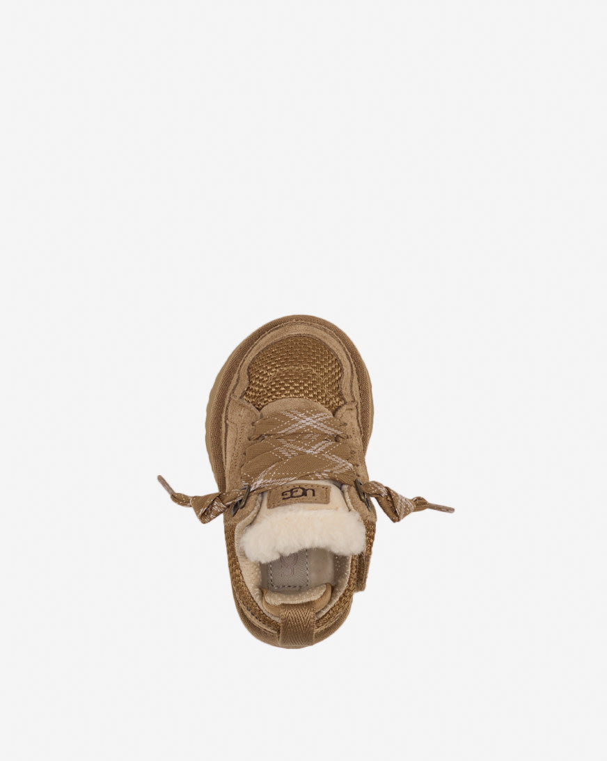 Toddler Lowmel
